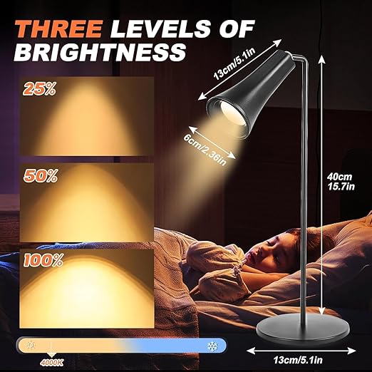 4 IN 1 LAMP